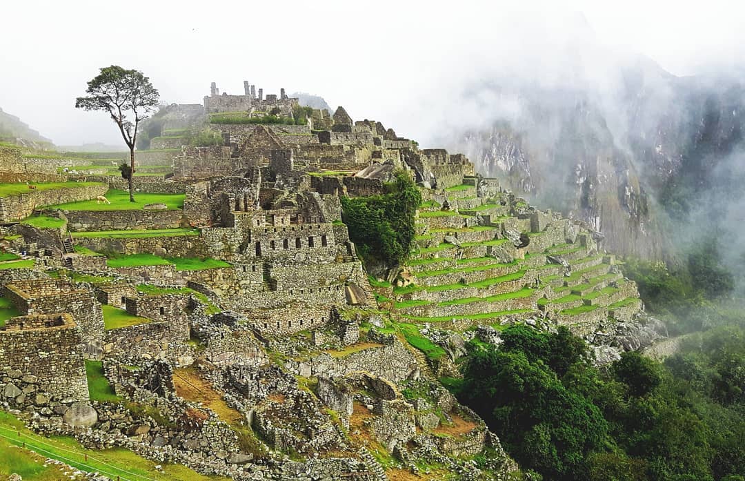 Picture in Machu Picchu
