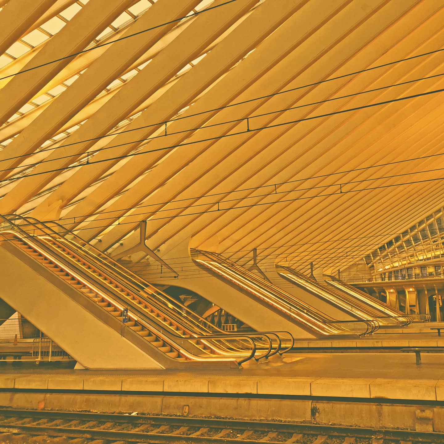 Picture in Liège-Guillemins train station