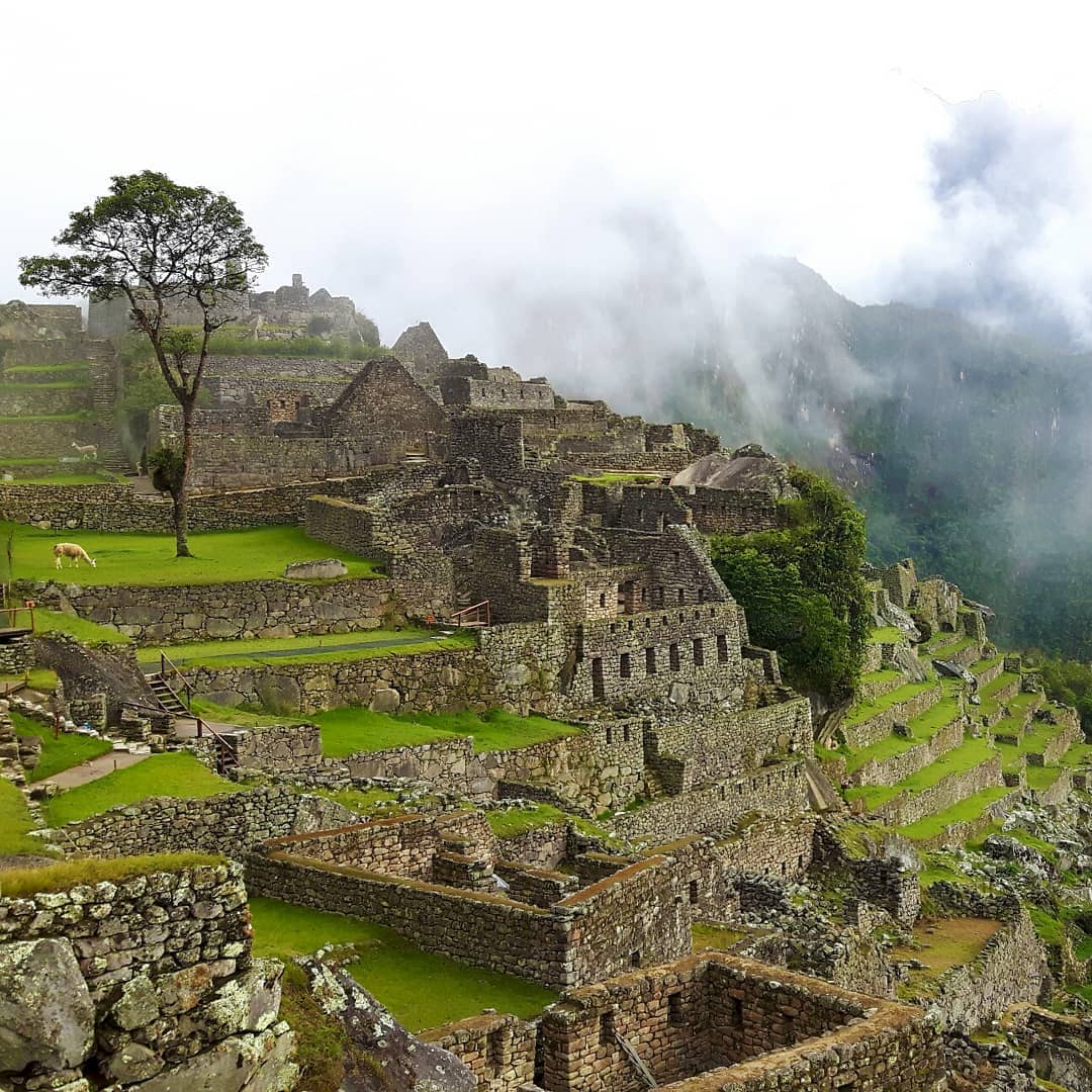 Picture in Machu Picchu Mountain