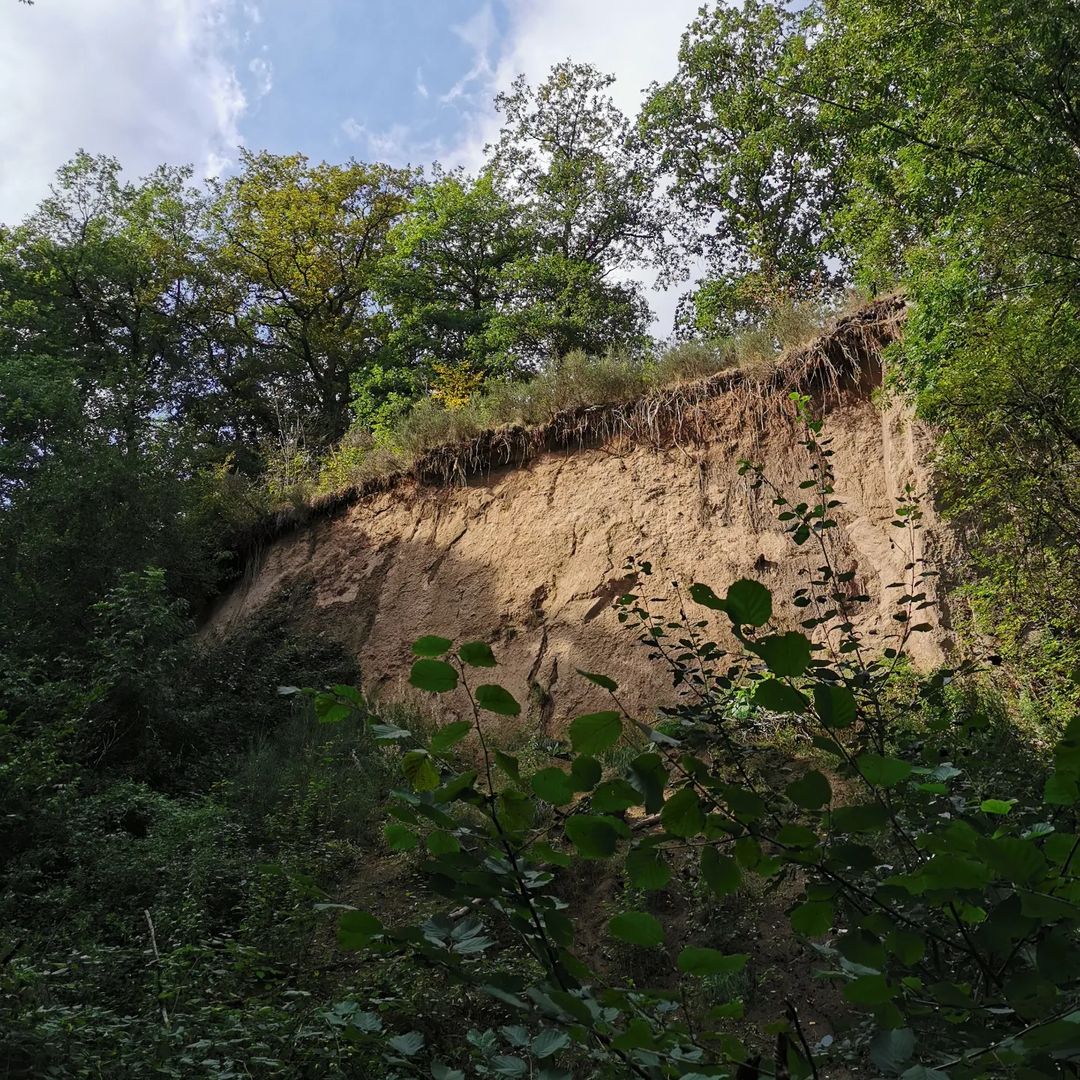 Picture in Traumpfad Höhlen- Und Schluchtensteig
