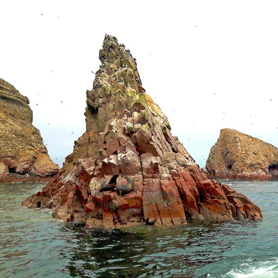 Picture in Paracas National Reserve
