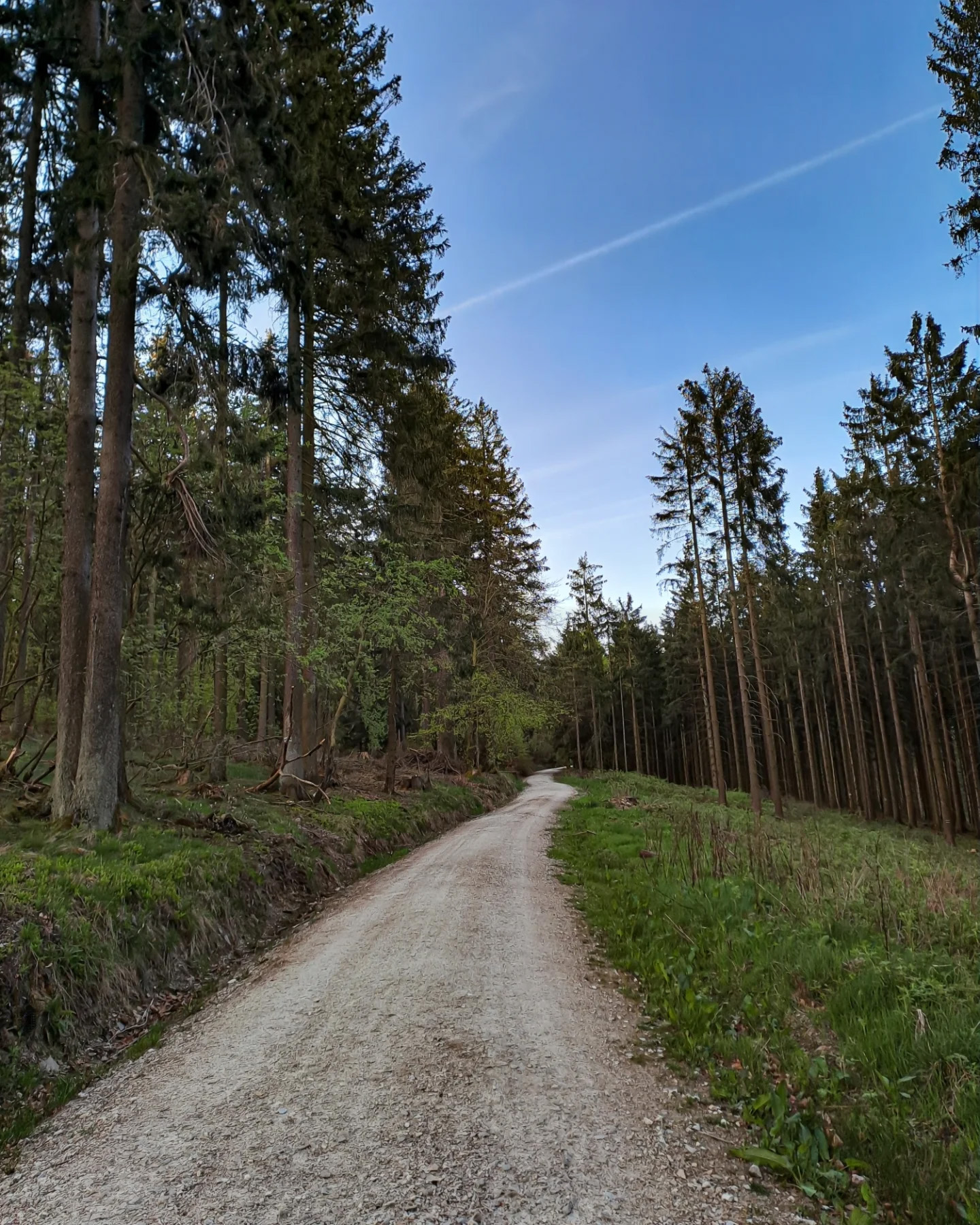 Picture in Großer Feldberg