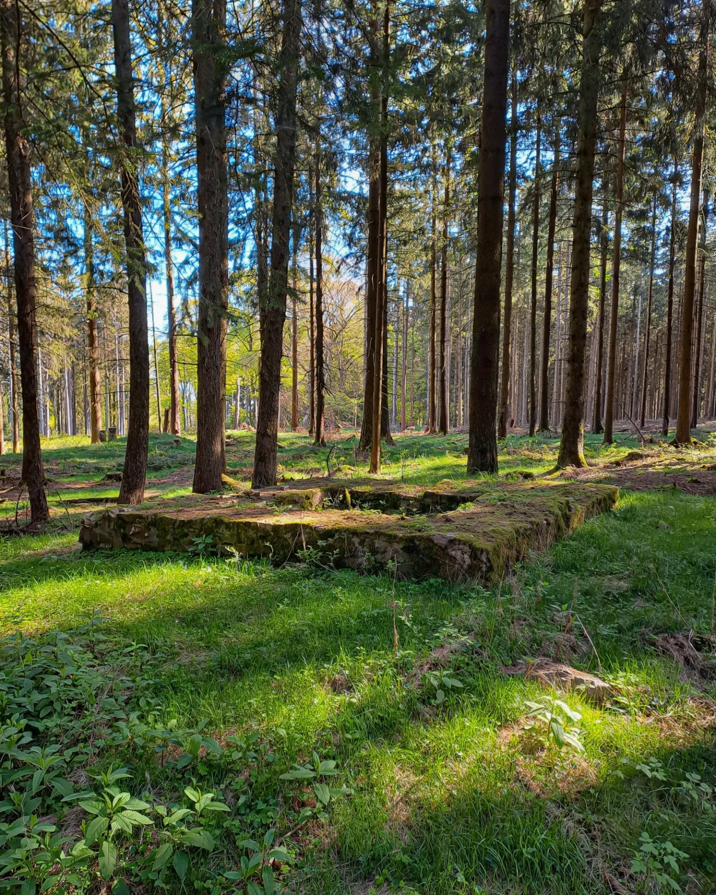 Picture in Großer Feldberg