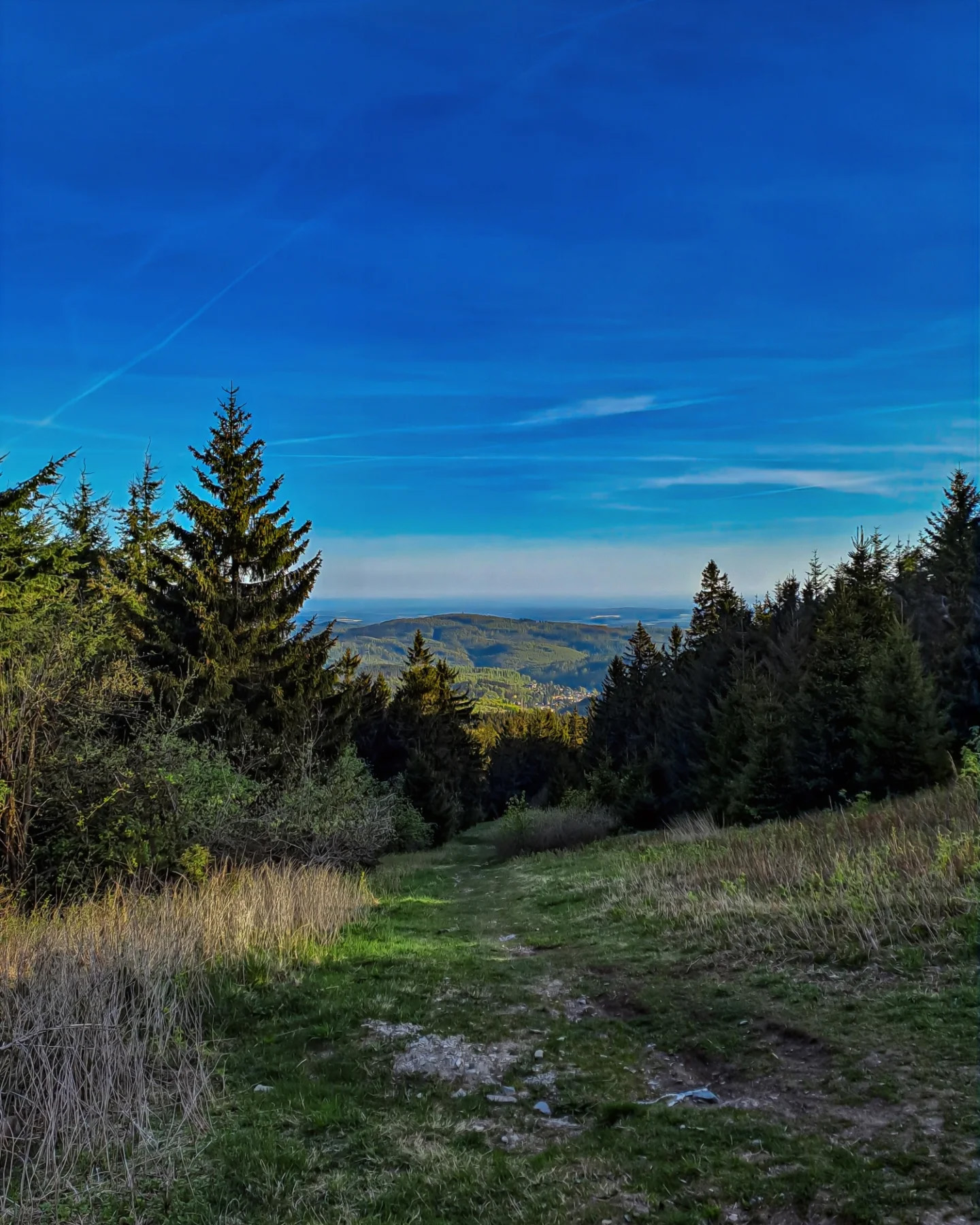 Picture in Großer Feldberg