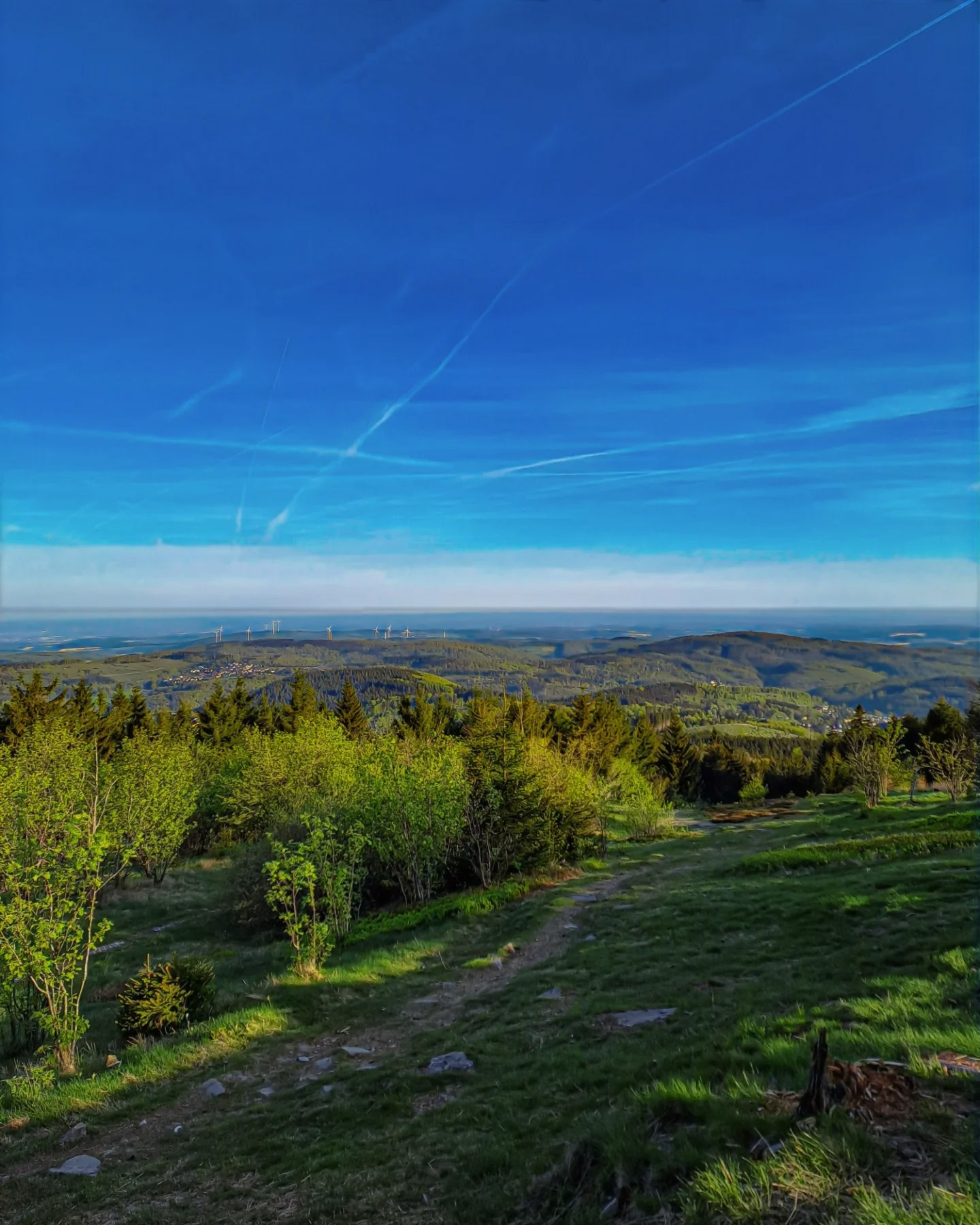Picture in Großer Feldberg