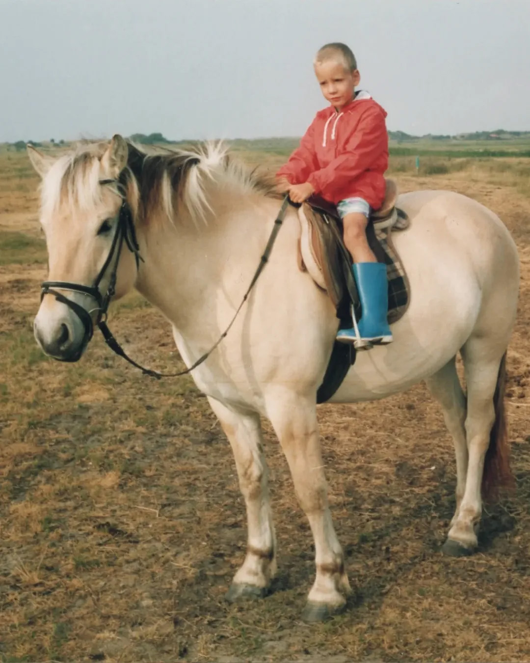 Picture in Baltrum