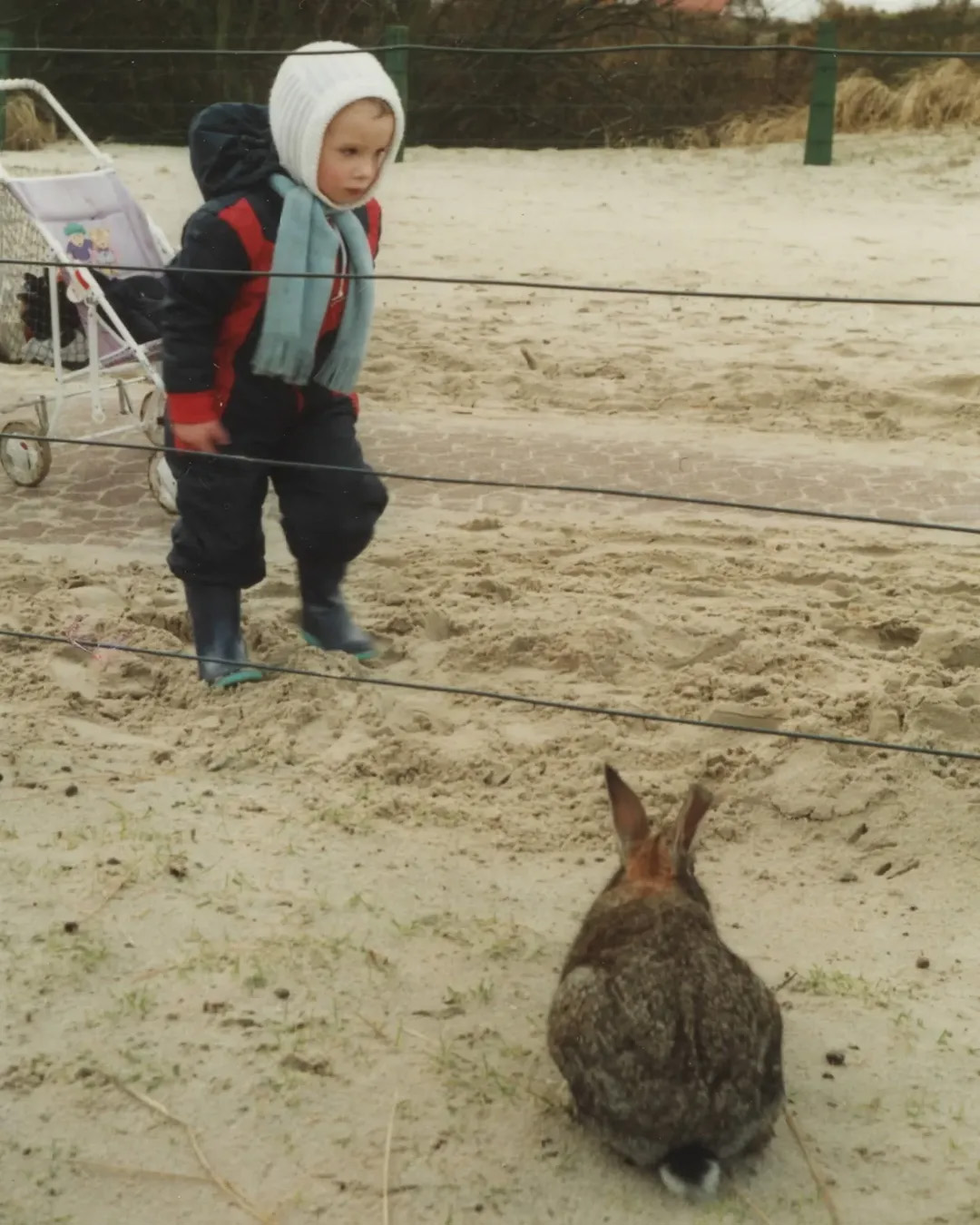 Picture in Baltrum
