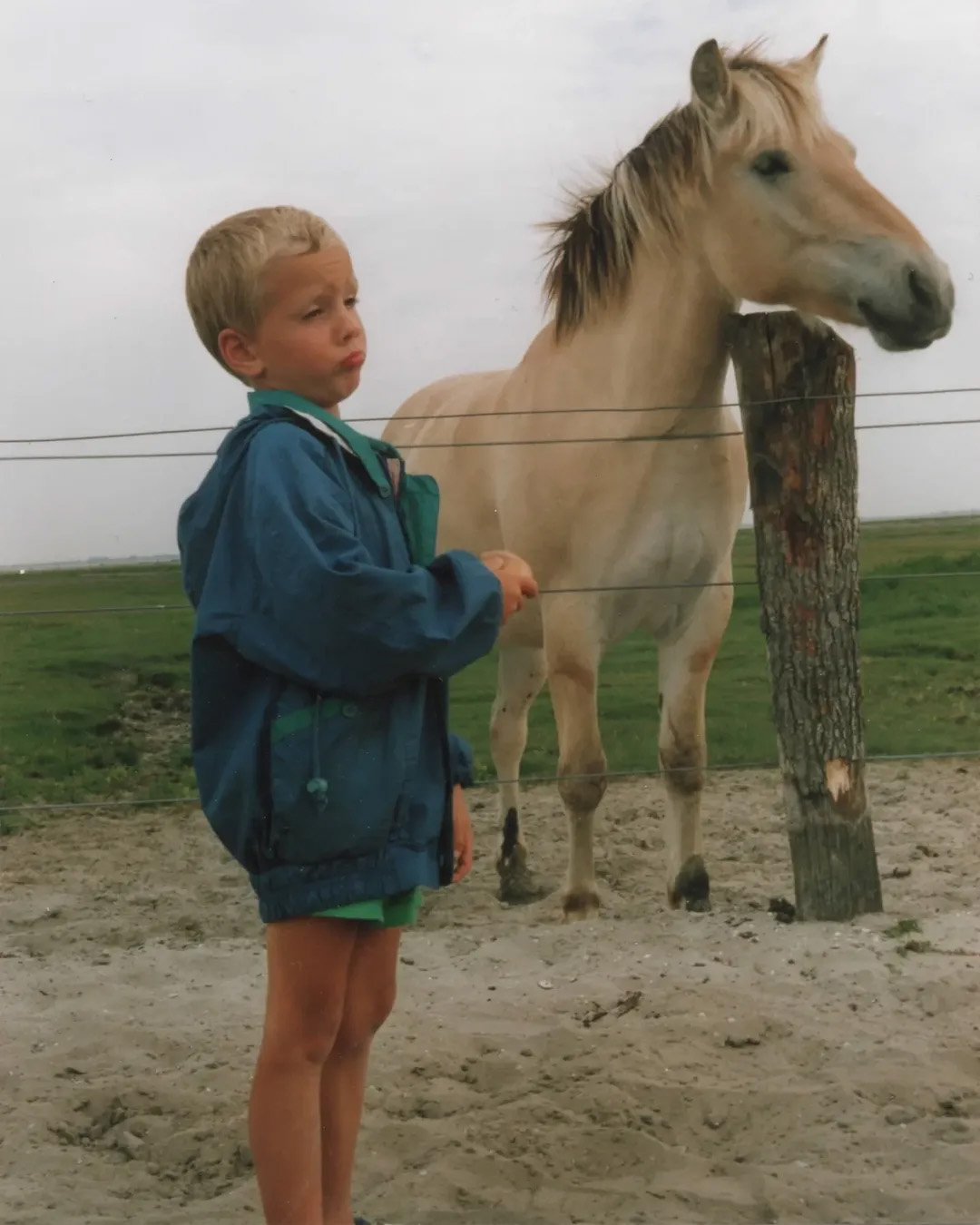 Picture in Baltrum