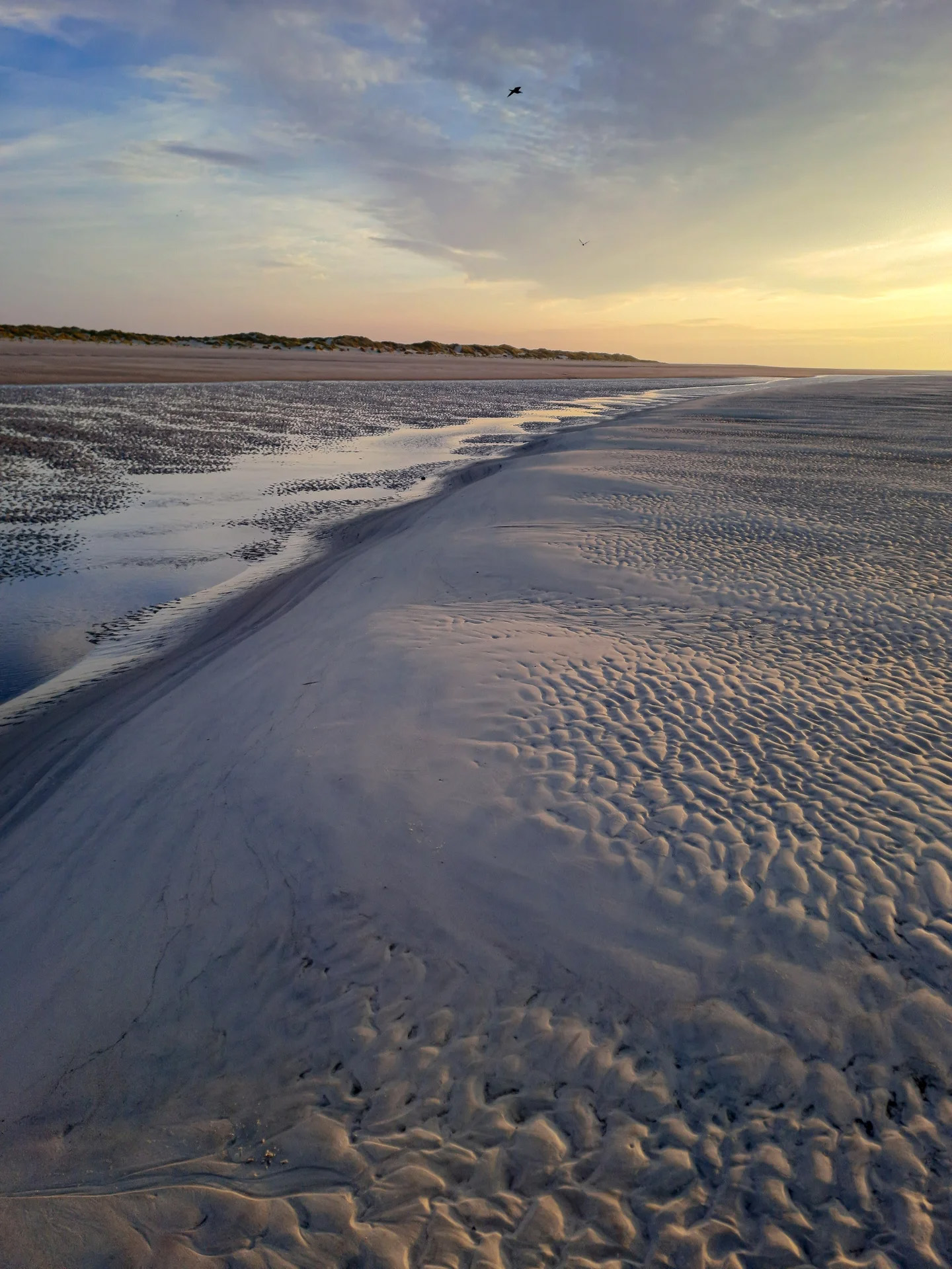 Picture in Baltrum