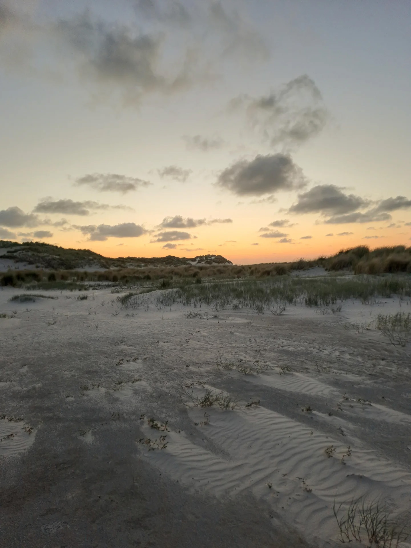 Picture in Baltrum