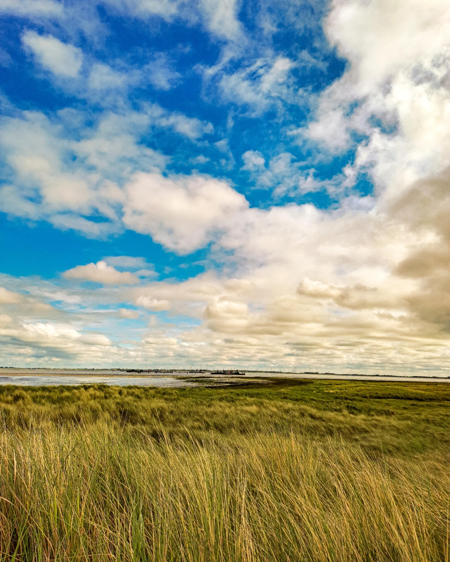 Picture in Baltrum