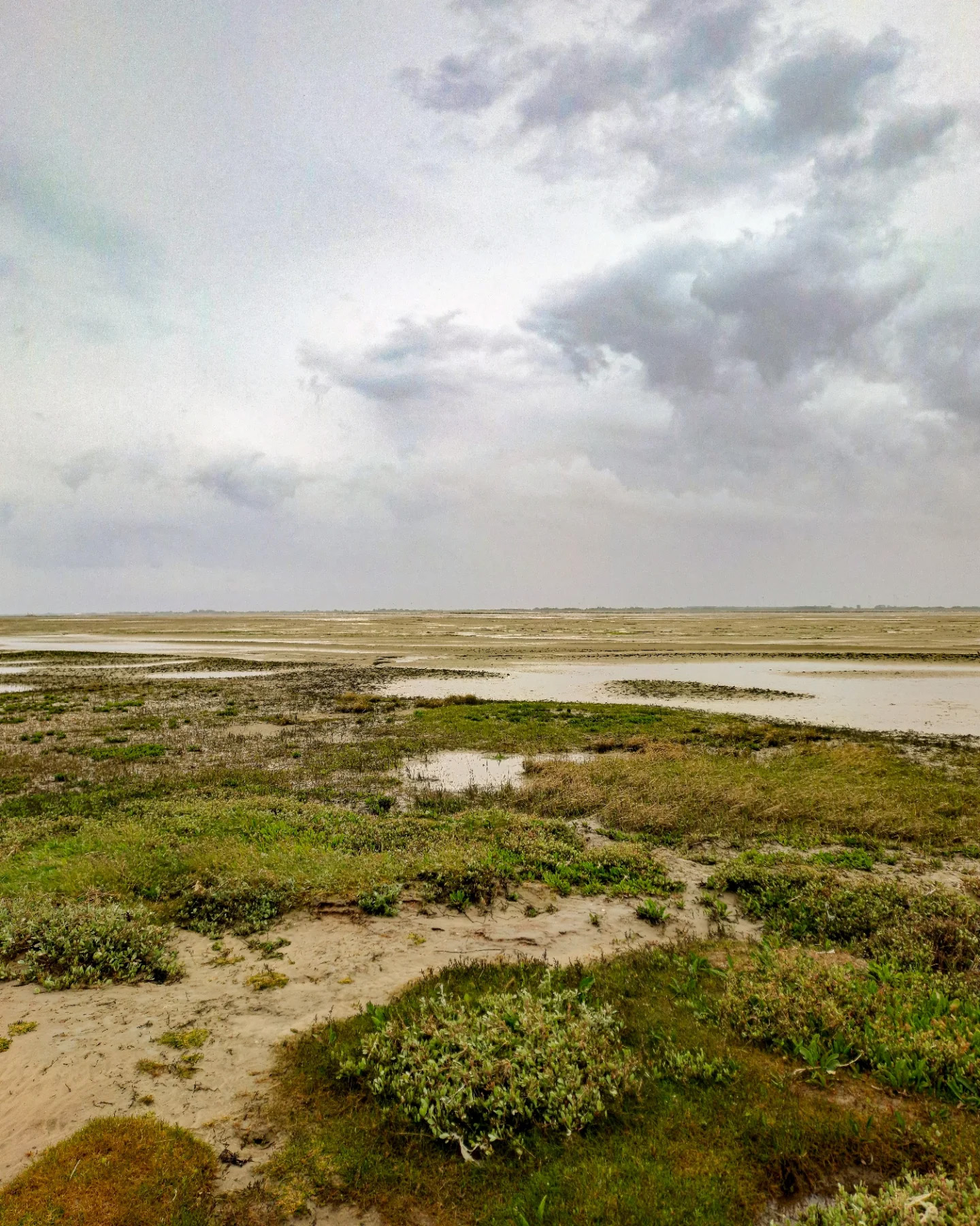 Picture in Baltrum