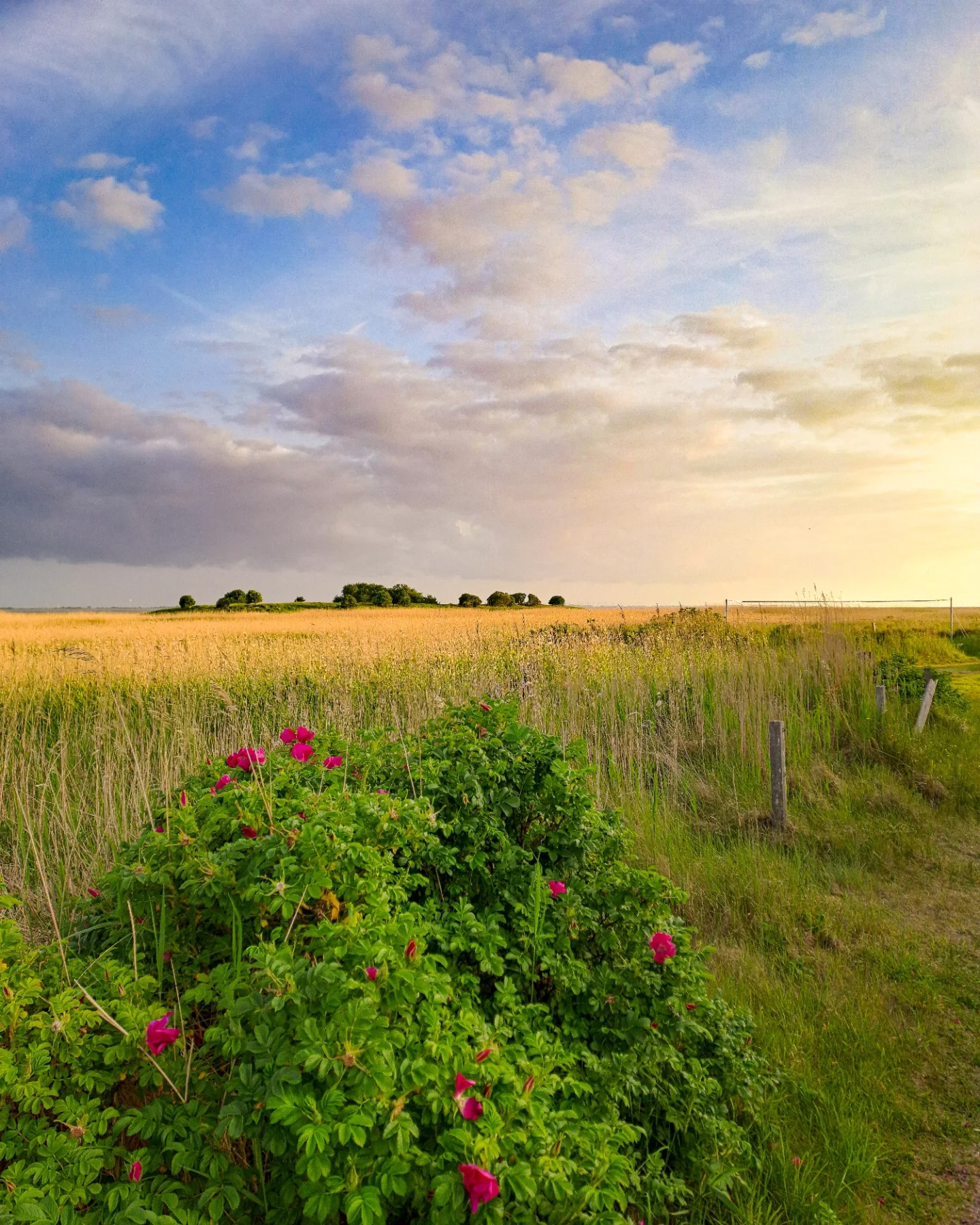 Picture in Baltrum