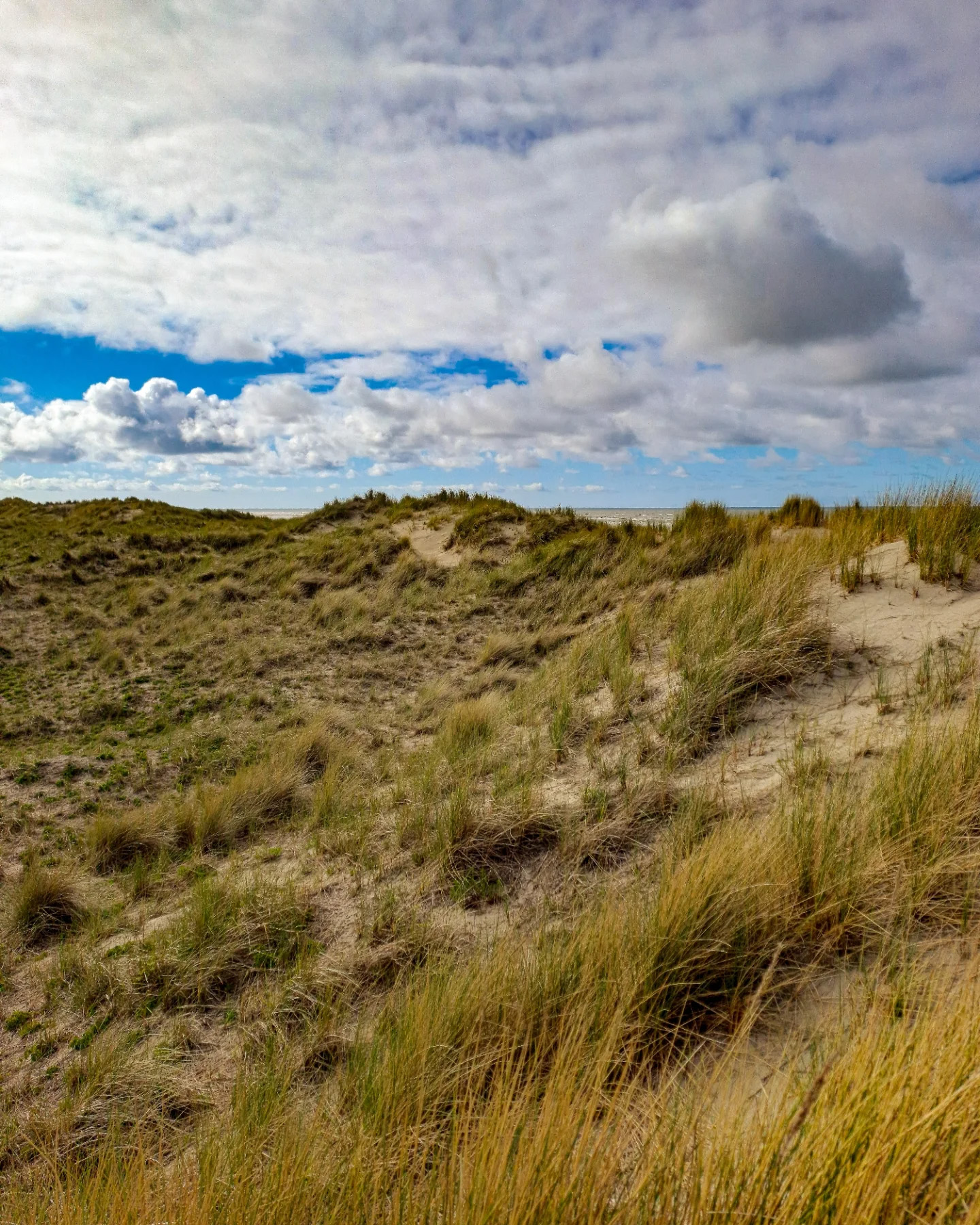 Picture in Baltrum