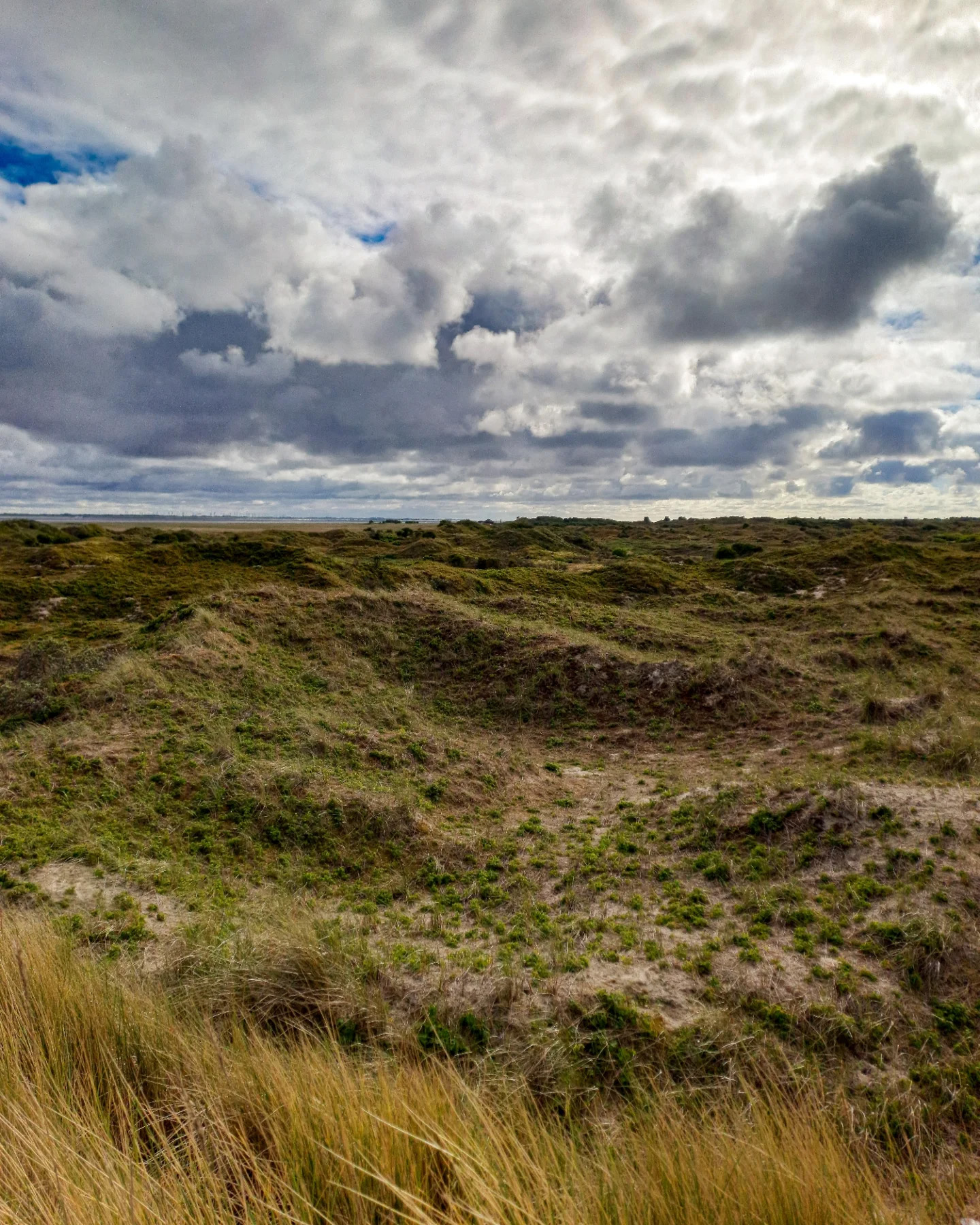 Picture in Baltrum