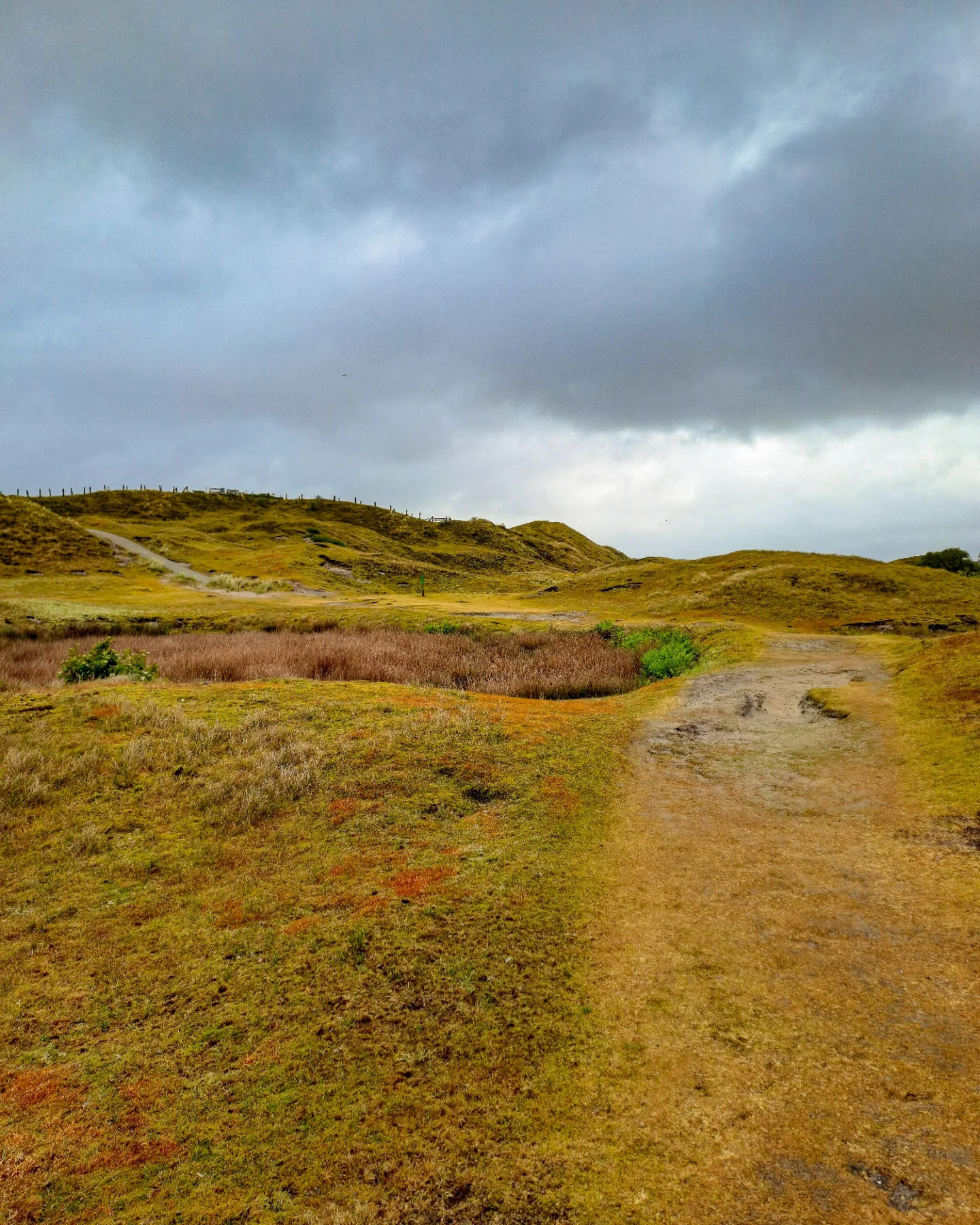 Picture in Baltrum