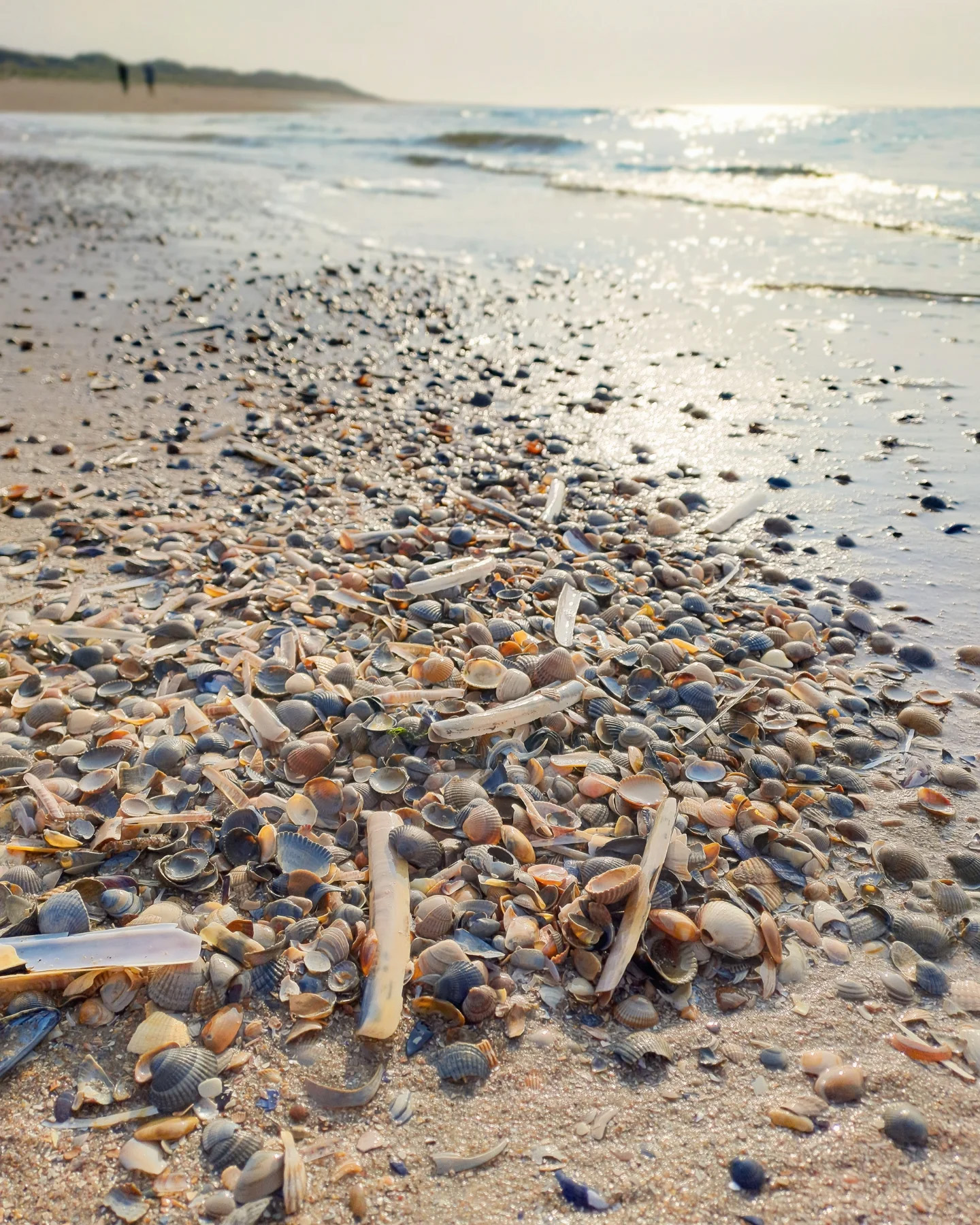 Picture in Baltrum