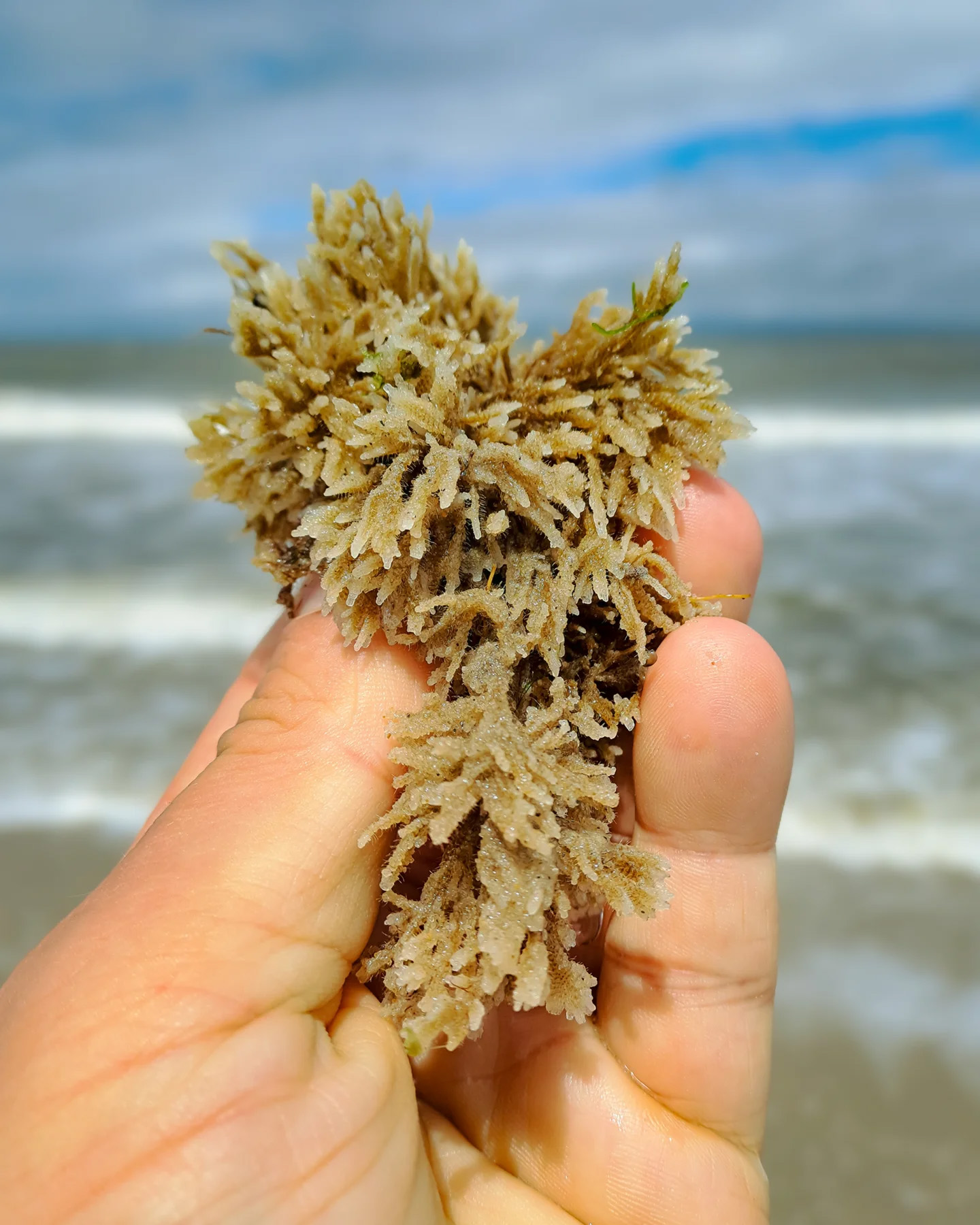 Picture in Baltrum strand