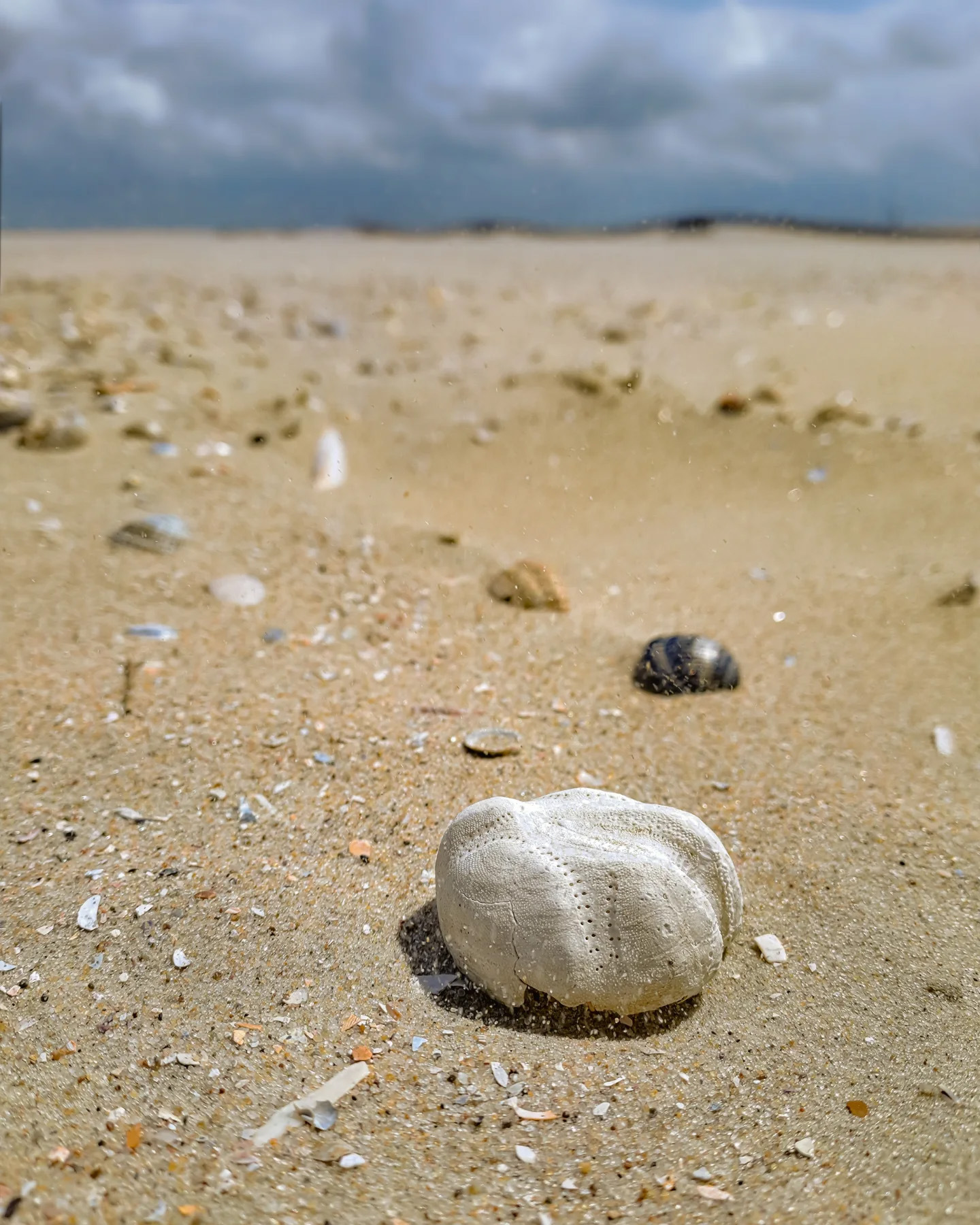 Picture in Baltrum strand