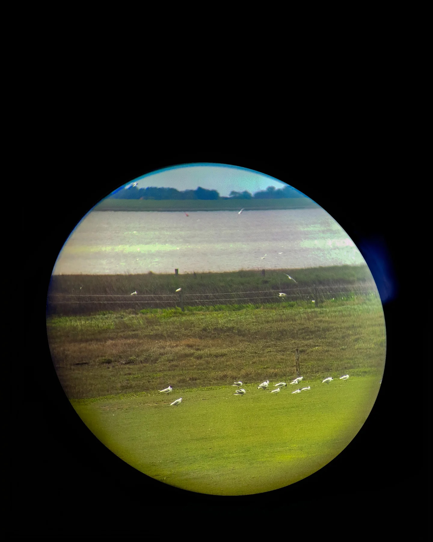 Picture in Baltrum
