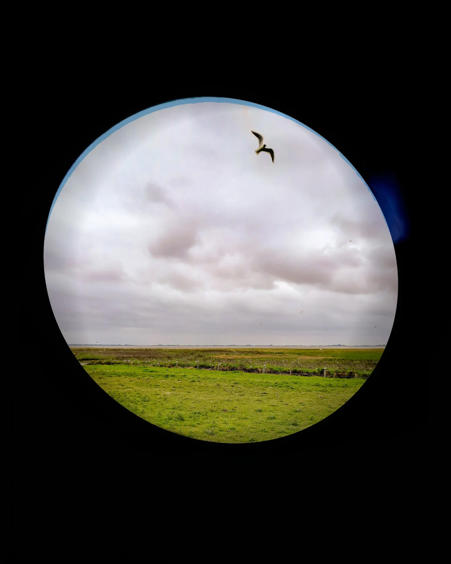 Picture in Baltrum