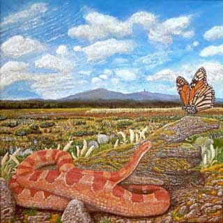Serpiente de<br>terrario y<br>mariposa monarca