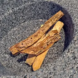 Miniatuurafbeelding toont Bursera graveolens