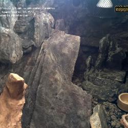 Record from 11.07.2025