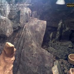 Record from 01.11.2025