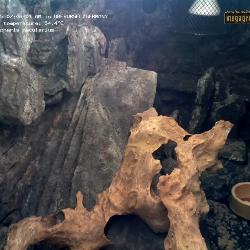 Aufzeichnung vom 09.12.2025