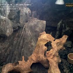 Grabar desde 12.12.2025