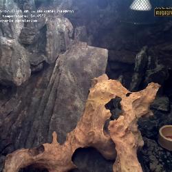 Record from 21.12.2025