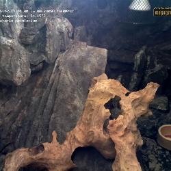 Record from 22.12.2025