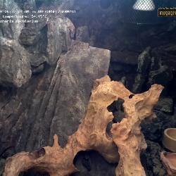 Grabar desde 13.03.2026