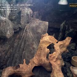 Aufzeichnung vom 16.03.2026