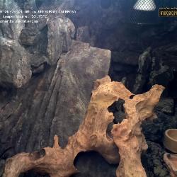 Opnemen van 19.03.2026