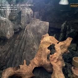 Record from 05.04.2026