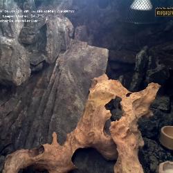 Grabar desde 28.04.2026